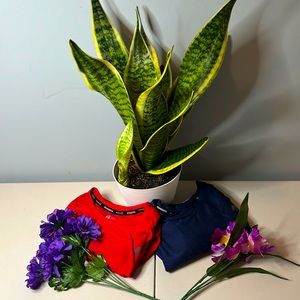 Red and navy blue long sleeves tees